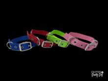 Load image into Gallery viewer, Light the Night | LED Leash &amp; Collar
