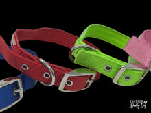 Load image into Gallery viewer, Light the Night | LED Leash &amp; Collar
