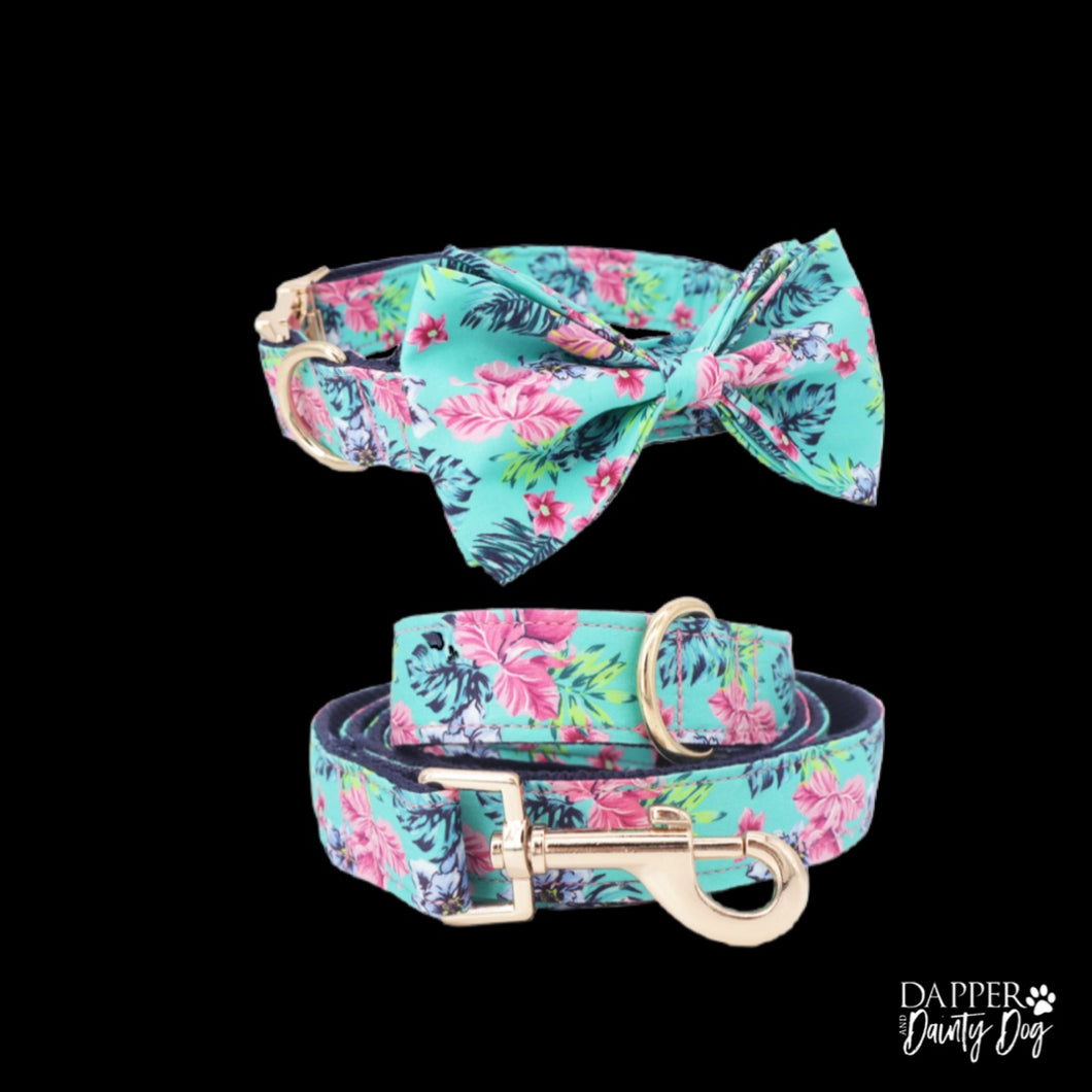 Cherpet bow tie dog collar and hot sale leash set